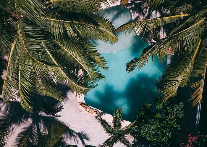 Zorba Tulum Beach Homes